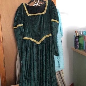 Medieval queen costume